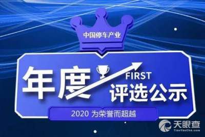 西安艾润物联网技术服务有限责任公司及其股东王林祥的工商与风险信息概览