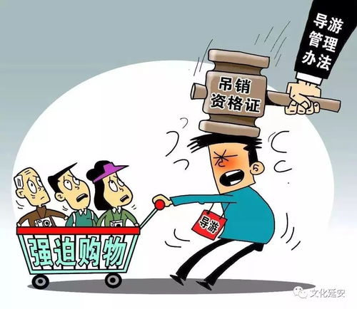 2024年1月1日起，这些与网络技术服务相关的重要新规正式实施