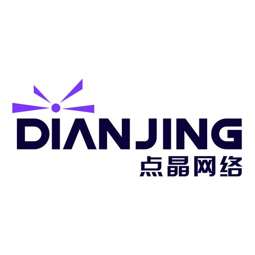 点晶网络的平台化突围 技术驱动下的数字服务新范式